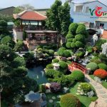 Thi công hồ cá Koi Tân Bình