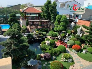 Thi công hồ cá Koi Tân Bình