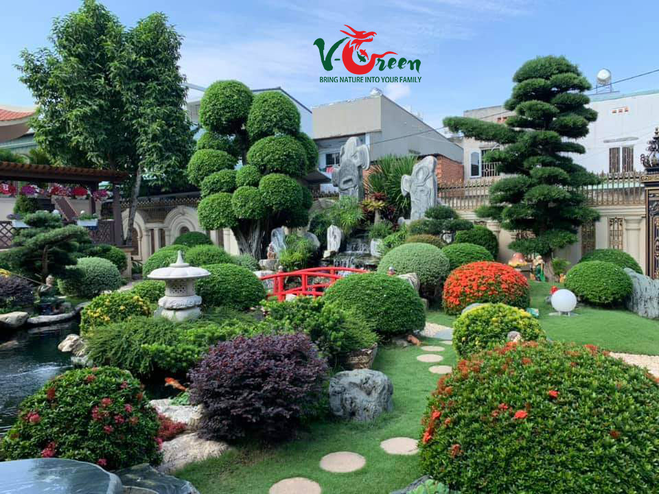 Thi công sân vườn - V-Green