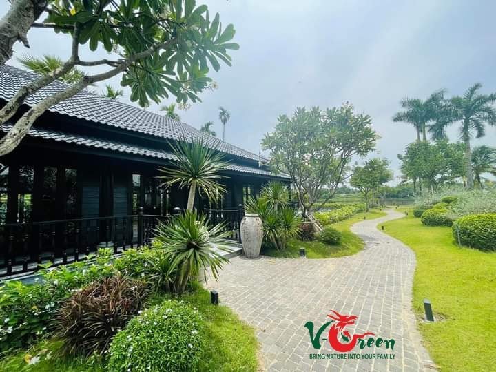 Thiết Kế Thi Công Sân Vườn