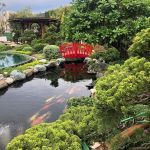 Thi Công Hồ Cá KOI