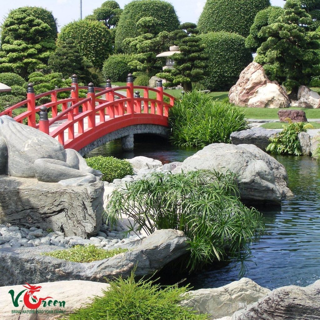 Thi công cảnh quan - hồ cá Koi đẹp - Sân Vườn V-Green