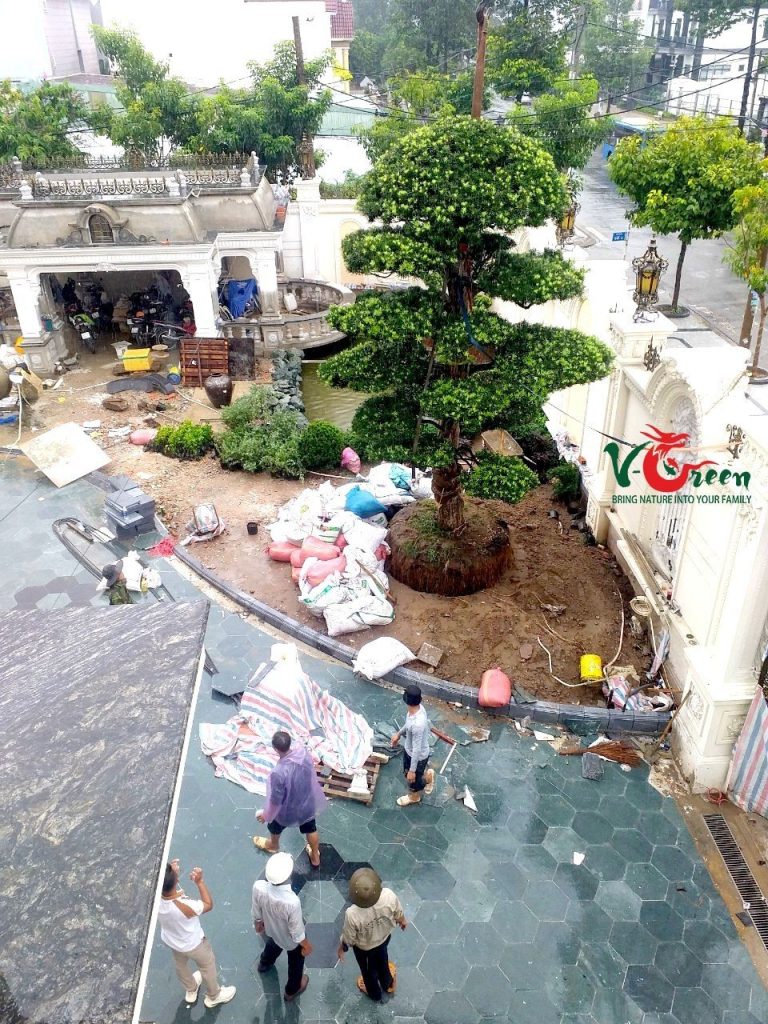 Những lưu ý trong quá trình thi công