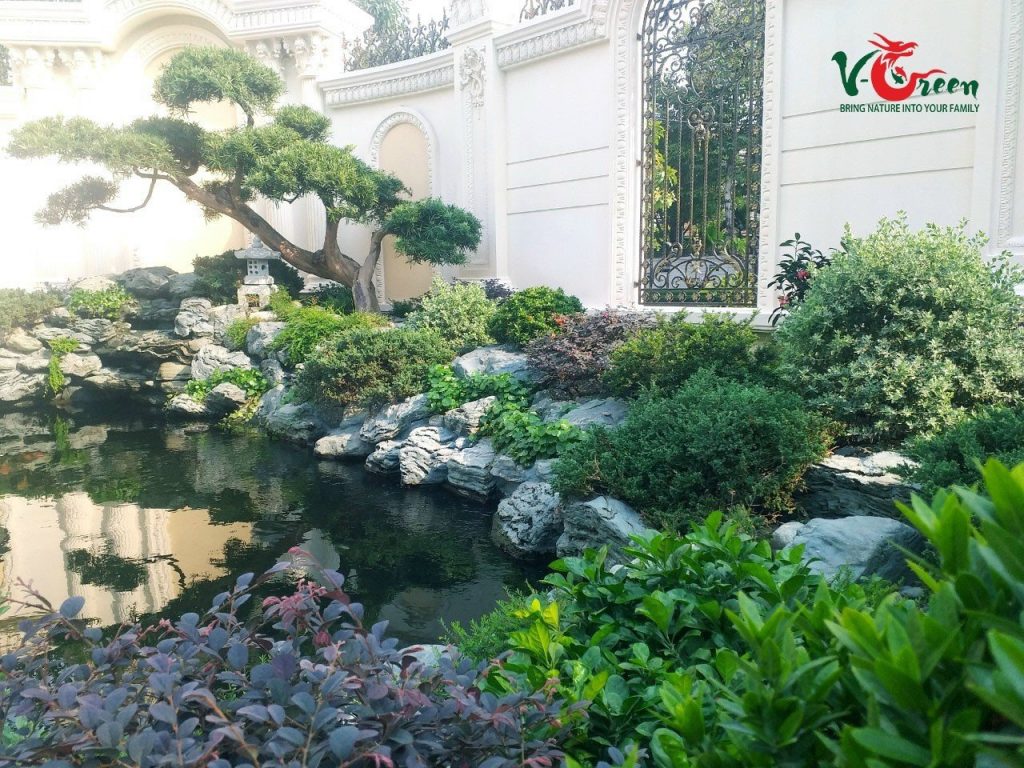 Thi Công Cảnh Quan- Sân Vườn V-Green