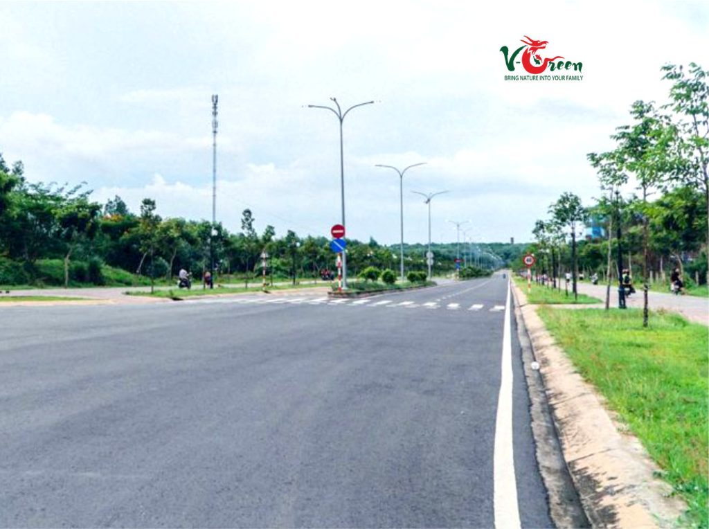 Dự Án Tuyến Đường Nguyễn Du Trong Đại Học Quốc Gia TP.HCM