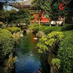 Thi công hồ cá koi tại Củ Chi