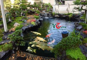 Thi công hồ cá koi tại Quận 8