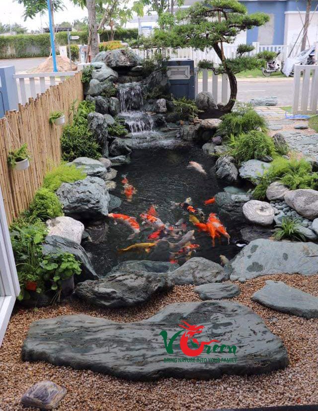 Thi công hồ cá koi tại Bình Chánh